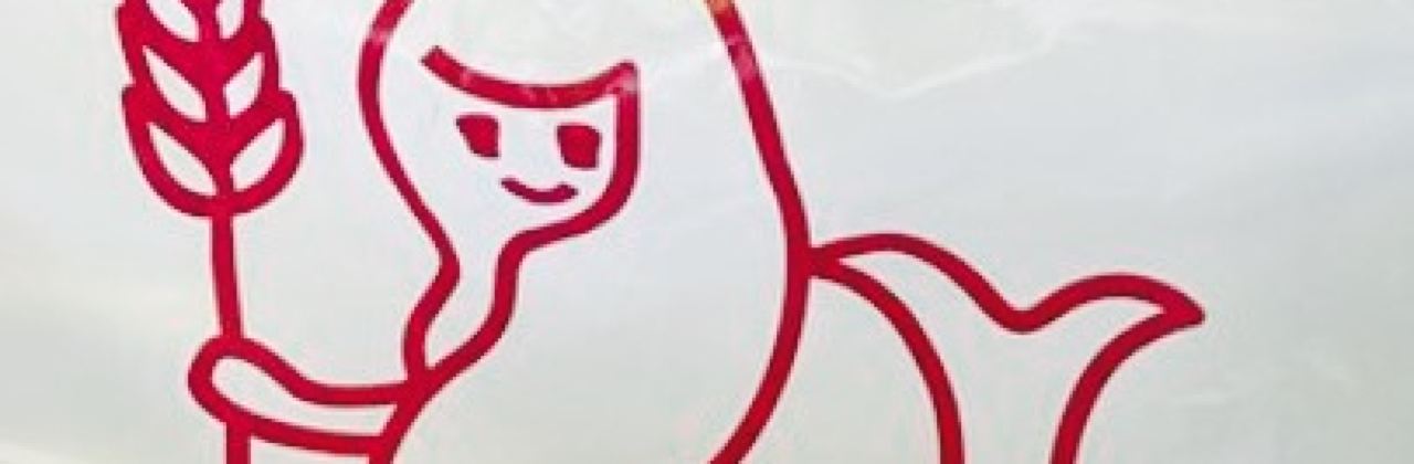 Little Mermaid Dila Oyama