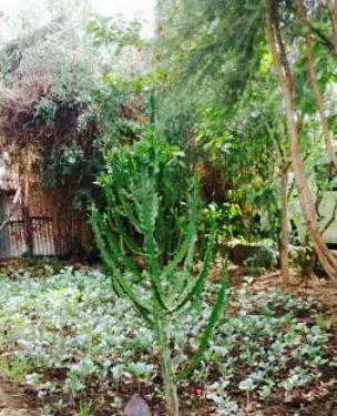 Jerusalem Guest House