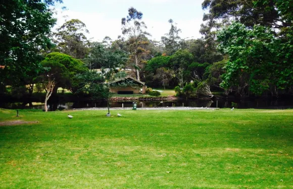 Denmark Hotel Restaurant