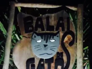 Balai de Gato
