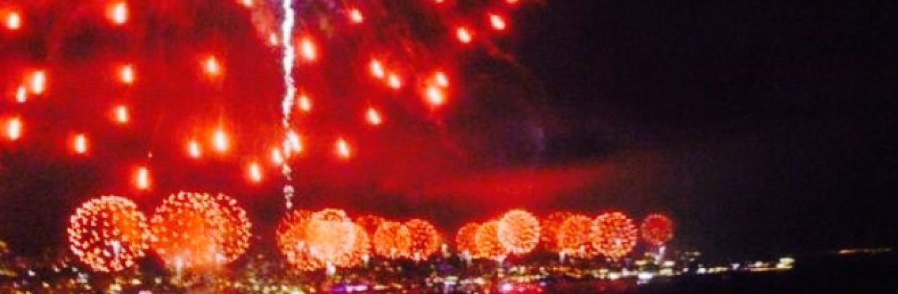 Nippon Sushi and Grill