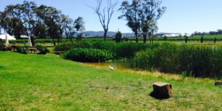 di Lusso Estate Winery