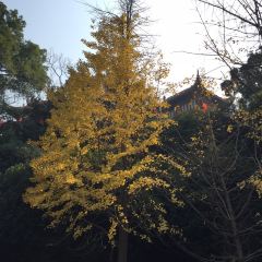 XiangTan JiuLong YuTou Dian (ChengNan West Road Dian) User Photo