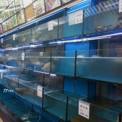 阿勇海鲜排档(莲花路1号店) User Photo