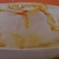 Hippopotamus User Photo