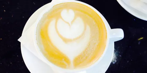 Treborth Garden Centre