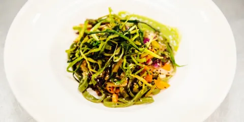 Zoi Health/Food/Drinks