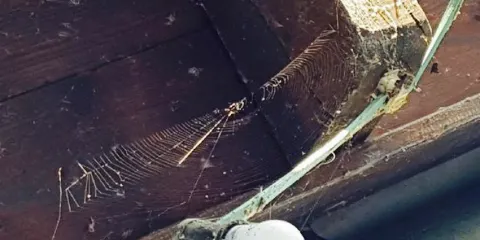 Chinarestaurant An der Wurm