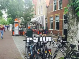 Puur