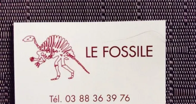 Le fossile