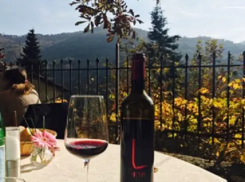 Ristorante Apricale Da Delio