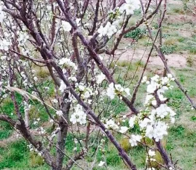 A Orilla Del Rio