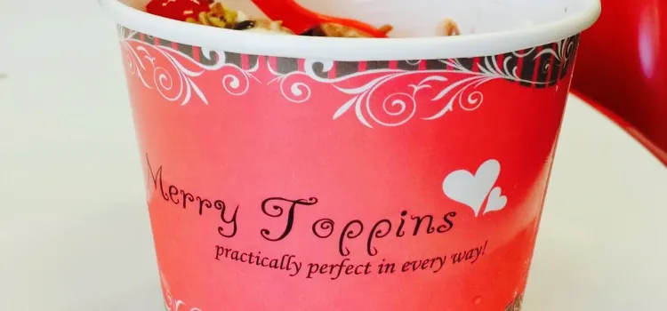 Merry Toppins Frozen Yogurt