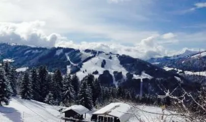 La Grenouille du Marais