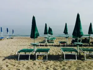 Conchiglia d'oro