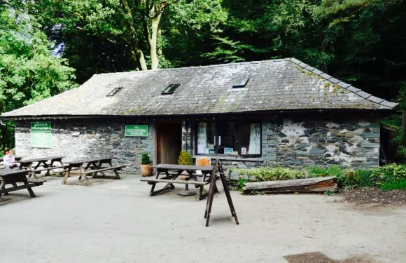 THE OLD SAWMILL TEASHOP