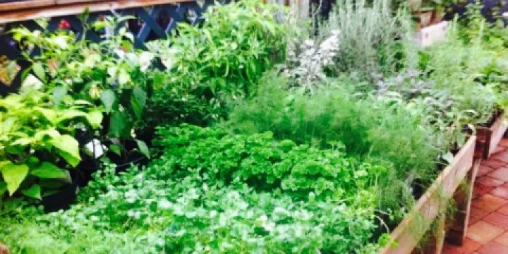 Bury Lane Farm Shop Cafe