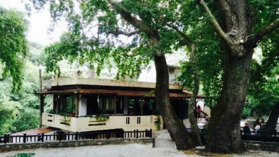 Taverna Halaris