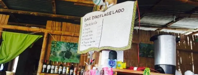 Cafe Dinoflagelado