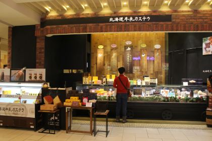 Hokkaido Milk Castella