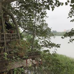YUAN XIANG REN SHU SHANG GA FEI WU User Photo