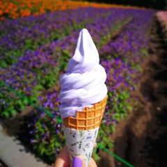Yamanaka Dairy Farm Otaru Shop User Photo
