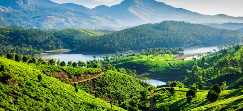 โรงแรมในมันนาร์