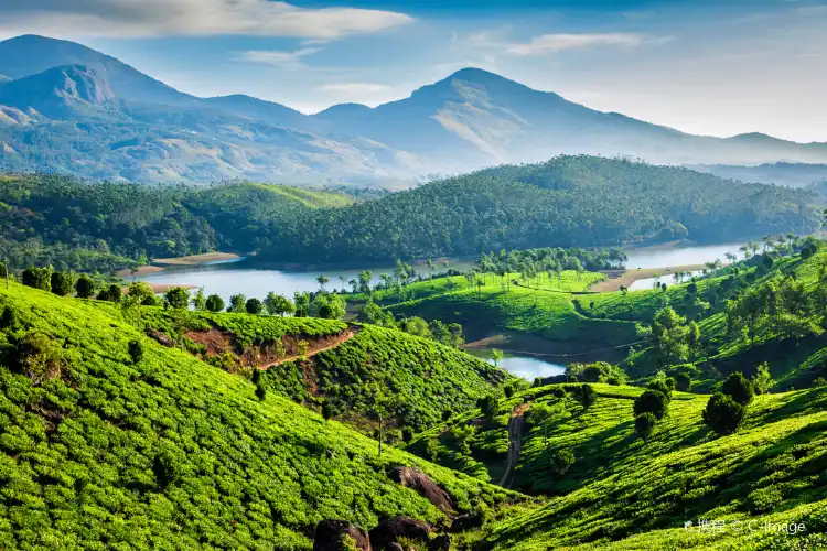 Hotels in Munnar
