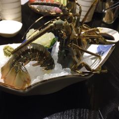 THE ONE 여행 사진