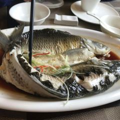 温汤人家 User Photo
