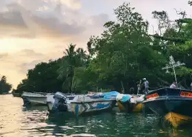 Mangrove Cave