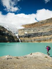 Bow Glacier Falls Trail