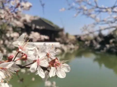 Bada Shanren Meihu Lake Scenic Spot