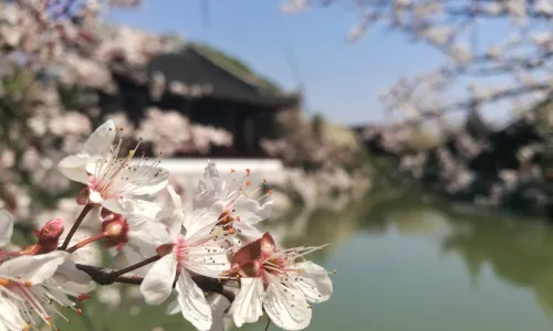Bada Shanren Meihu Lake Scenic Spot