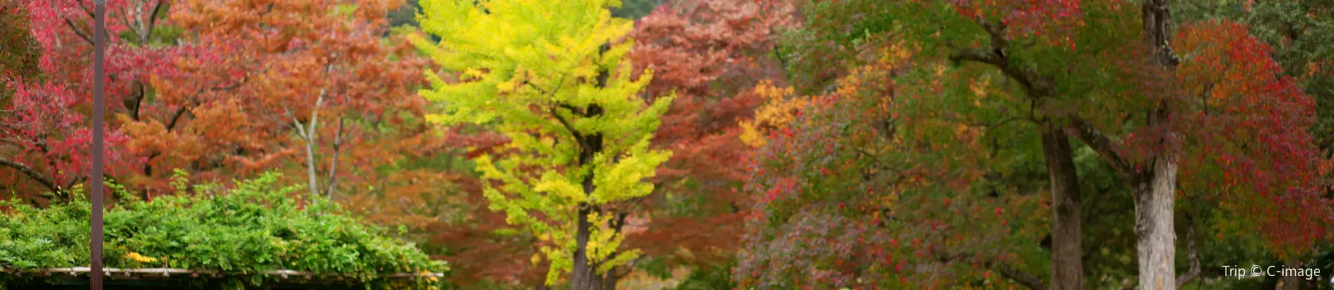 遊賞秋景好去處
