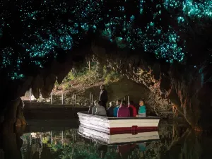 Waitomo Glowworm Caves