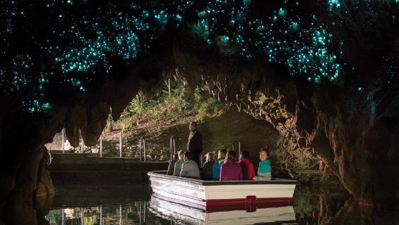 Waitomo CavesTours