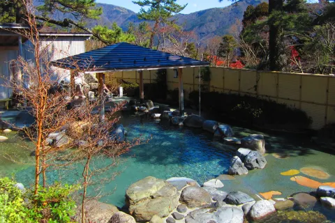 Hot Springs in Hakone