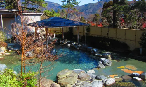 Hot Springs in Hakone