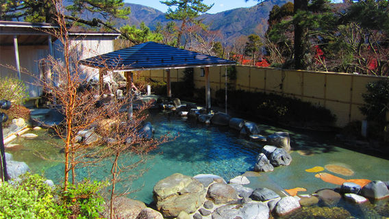 Hot Springs in Hakone