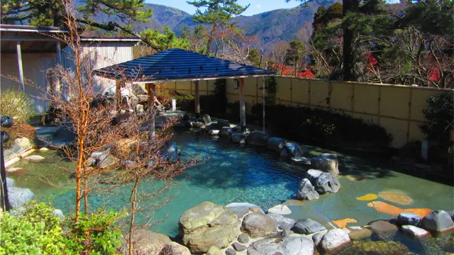 Hot Springs in Hakone