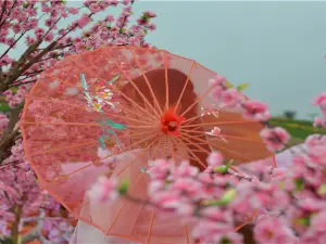 花花世界