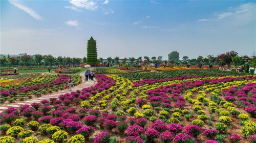 涇河智慧農業園