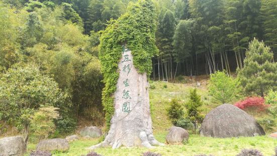 天然氧吧，空气质量非常好，周末到这里享受大自然风光感到非常舒