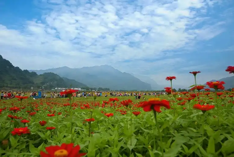 Hotels near Tongji Flower Sea