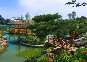 Озеро Тяньцзинь Горячая Сыновья Культуры