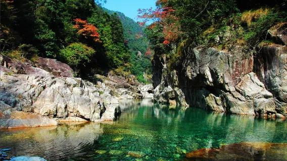 玩水避暑