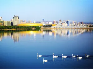 Swan Lake National Urban Wetland Park