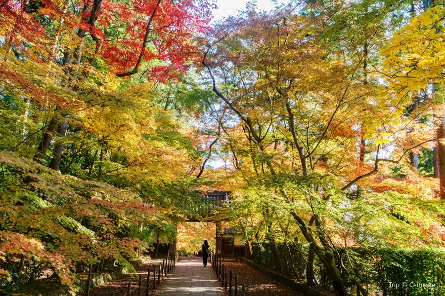 Komyo-ji Temple