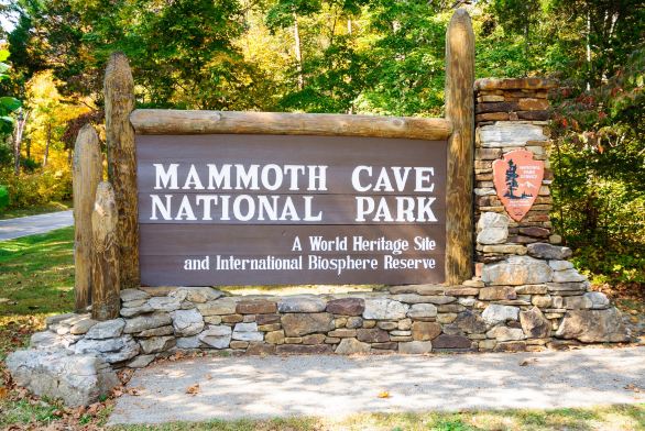 Mammoth